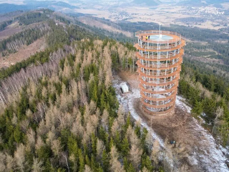 Jak dojechać do dzikowca wielkiego - praktyczny przewodnik dla podróżników