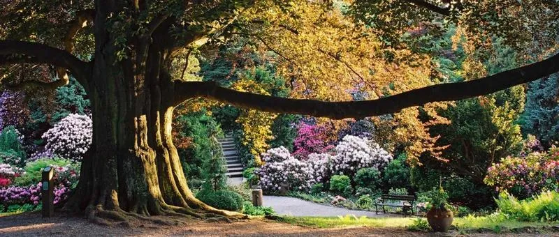 Kiedy najlepiej odwiedzić arboretum Wojsławice? Przewodnik po najpiękniejszych porach roku