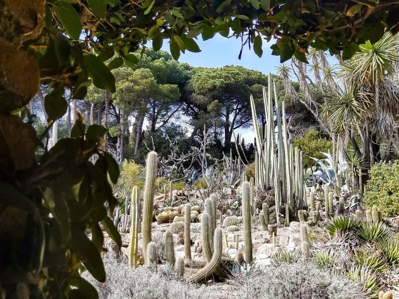 Odkryj Blanes: Jak Dojechać do Urokliwego Ogrodu Botanicznego