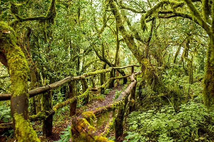 Odkryj niezwykłe atrakcje przyrodnicze w Hiszpanii, które zachwycają każdego turystę
