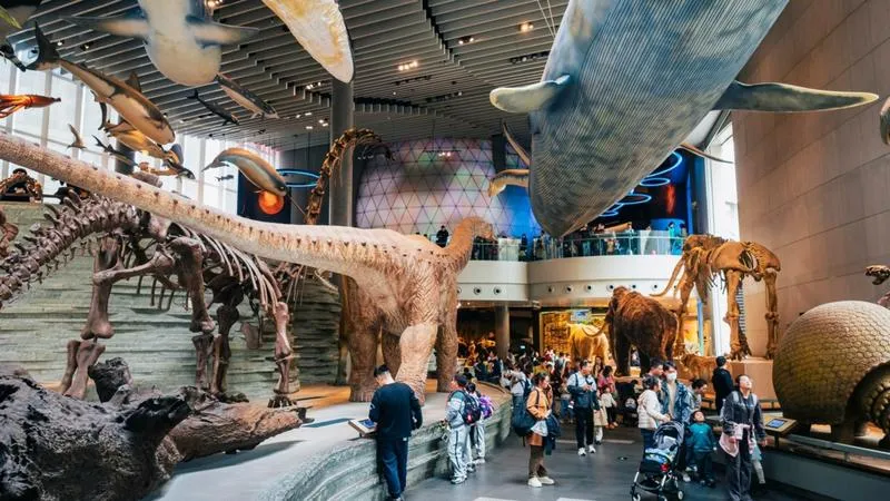 Atrakcje dla dzieci w Warszawie