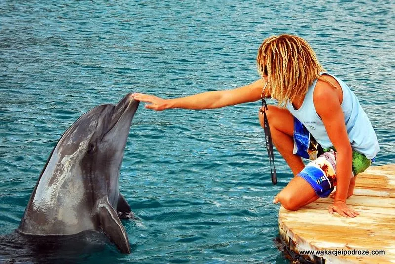 Najlepszy czas na wyjazd do Ejlatu