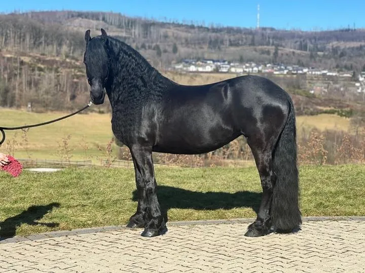 Najpiękniejsze stajnie i ośrodki jeździeckie