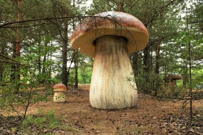 Poradnik przygodowy z piłką